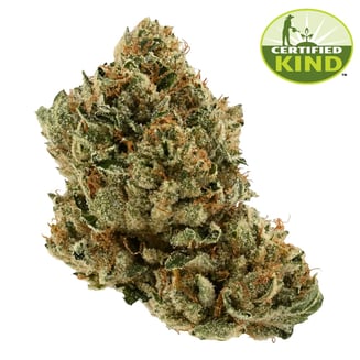 Motorbreath #15 by FarmaceuticalRx