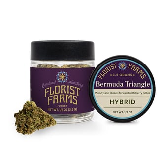 Bermuda Triangle | Hybrid