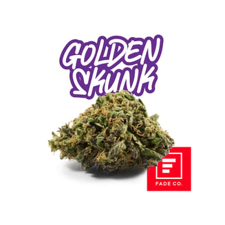Golden Skunk by Fade Co.