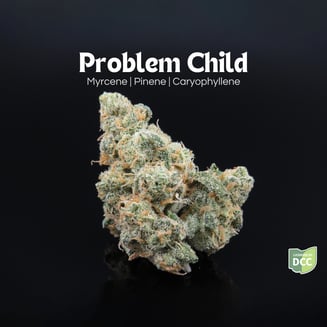 Problem Child by Farkas Farms