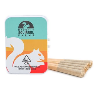 Naughty Squirrel Farms — Medellin