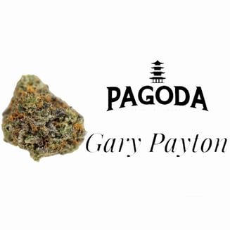 Gary Payton by Pagoda
