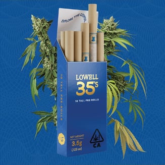 Lowell Herb Co. — Stargazer