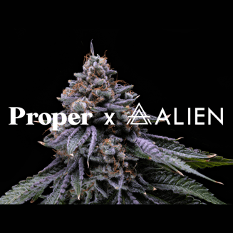 Alien Rock Sours #20 by Proper Cannabis