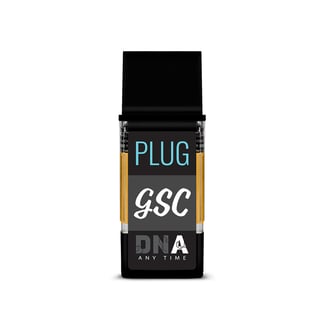 PlugPlay — Kiwi Burst