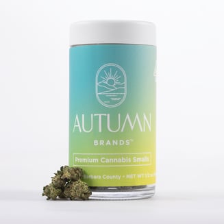 Autumn Brands: Italian Lemonade