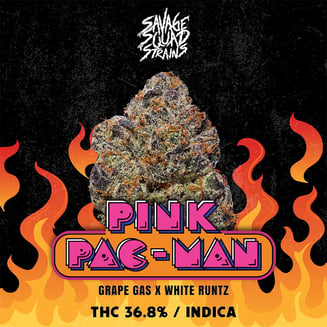 Pink Pacman by Savage Squad Strains