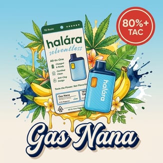 Halara — Gas Nana
