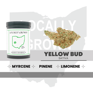 Yellow Bud [2.83g] by Locally Grown