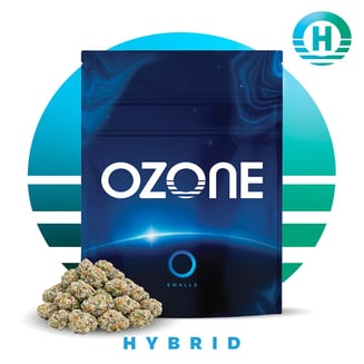 Rainbow Chip by Ozone