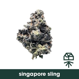 Singapore Sling by Grassroots