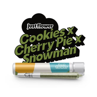 Cookies x Cherry Pie x Snowman [1g] by Just Flower