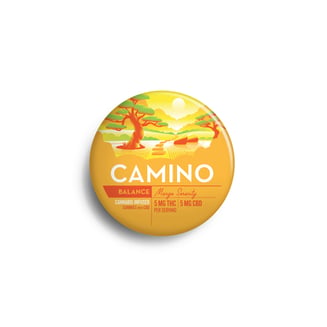 Camino-Mango-1:1-CBD:THC-20ct-00056 by Camino