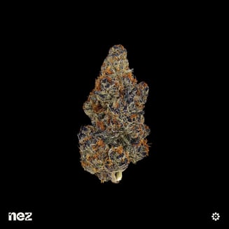 NEZ — Cadillac Rainbows