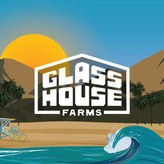 Glass House Farms: GSC X Sherbet
