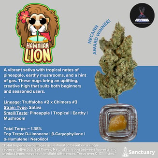 Sauce Baller Jar - Hawaiian Lion [4g] - Cured Resin by Volcanna
