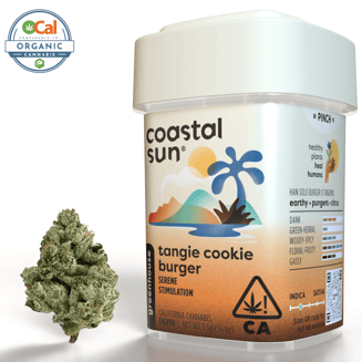 Coastal Sun: Tangie Cookie Burger