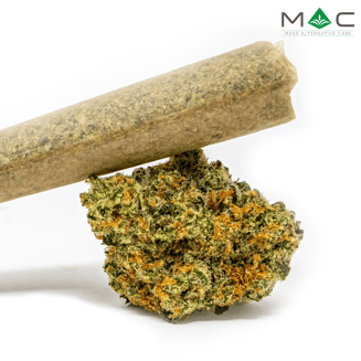 Neon Grove [1g] by Mass Alternative Care (MAC)