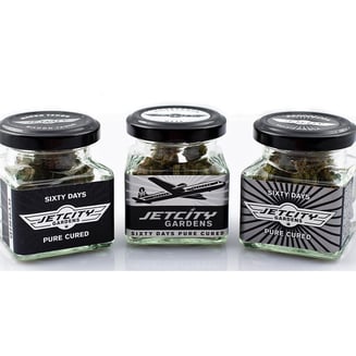 African Lime by Jet City Gardens