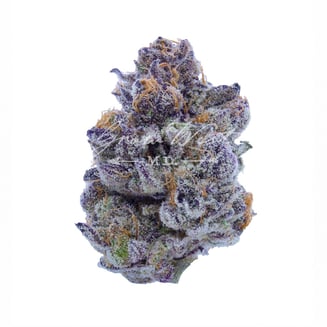 Pie Crust by Grow West