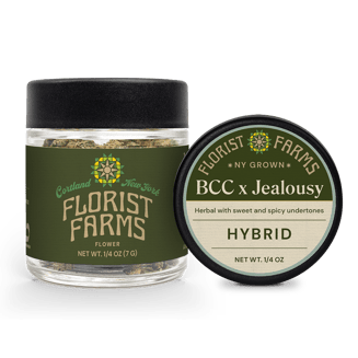 BCC x Jealousy | Hybrid by Florist Farms