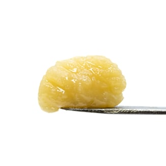Rosin Tech Labs — Papaya