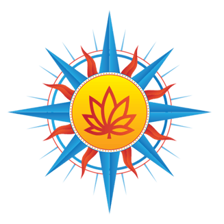 1:1 Arnica - Extra Strength (300mg) by Southwest Cannabis