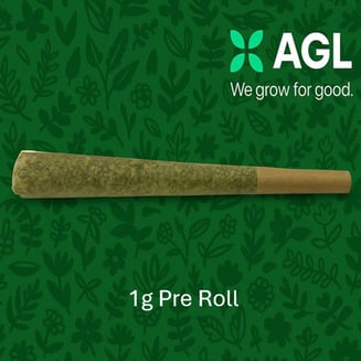AGL 1g Pre Roll Afternoon Delight #4 x Tropicana (H) 01651 by Advanced Grow Labs (AGL)