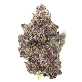 Apple Fritter by Curated Cannabis