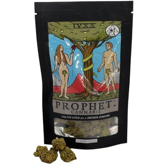 Prophet Cannabis: Runtz