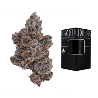 Goddess — Warheads