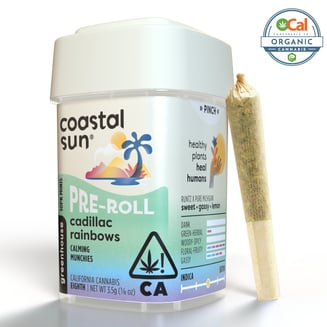 Coastal Sun — Cadillac Rainbows