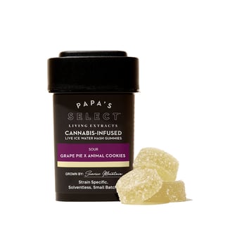 Grape Pie X Animal Cookies [10pk] (100mg) by Papa's Select