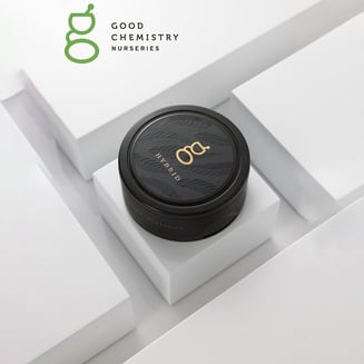 Runtz by Good Chemistry Nurseries