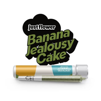 Banana Jealousy Cake [.5g] by Just Flower