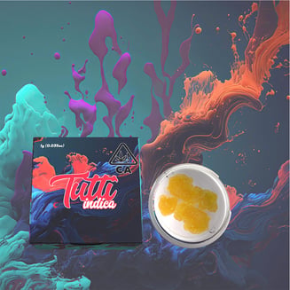 Tutti — Northern Lights