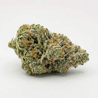 Mad Rabbid #5 by Flower Foundry