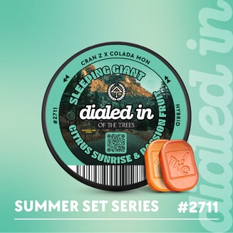 100mg - Sleeping Giant (Citrus Cran Colada) #2711 - Rosin Gummies (10pk) by Dialed In Gummies
