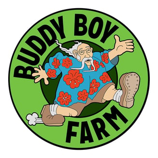 Acapulco Gold [.6g] by Buddy Boy Farms