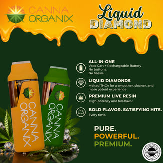 Banana Runtz [1000mg] by Canna Organix