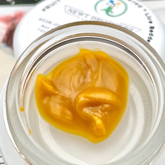 Jack Herer by Newt Brothers