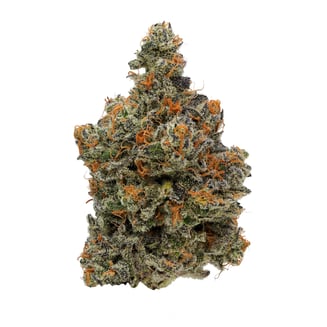 Fig Farms — Lucid Blue