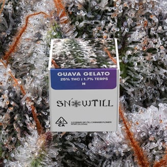 Snowtill — Guava Gelato