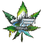 Acapulco Gold by 111 Ranch