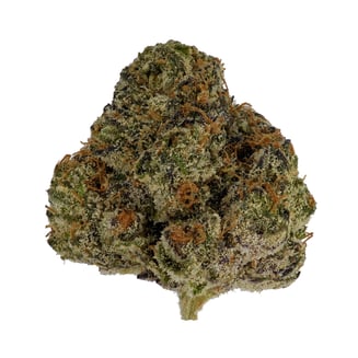 Vanilla Creme Pie by Knack