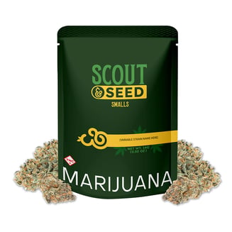 Apple Water by Scout & Seed