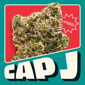 Cap J by Neighborgoods