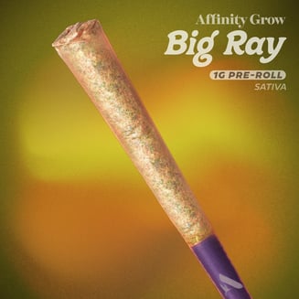 Arrigoni Haze 1g Big Ray T20.28% S 01037 by Affinity Grow