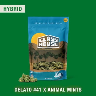 Glass House Farms: Gelato #41 X Animal Mints