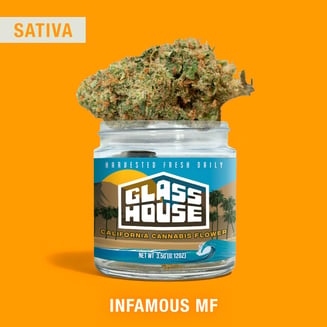 Glass House Farms — Infamous Mf